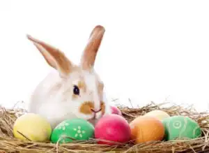 DJ SnAdEe-E - Festive Dance Mix 06 (Easter 2018)